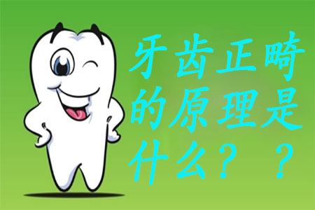 1587005990317525.png 图片 3.png