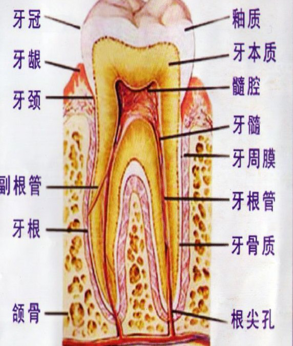 1586398025727445.png 图片12222222222.png